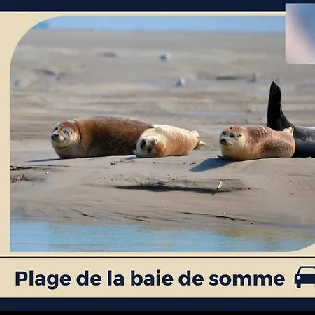 Le Pluvier Apartment